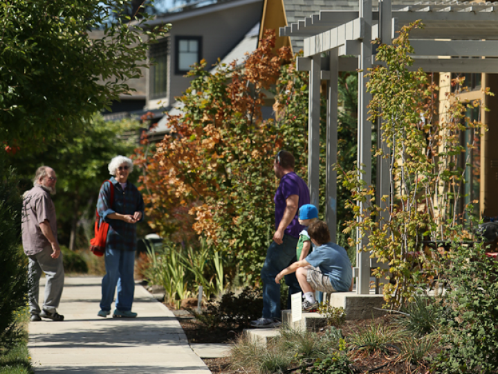 neighbor photo
